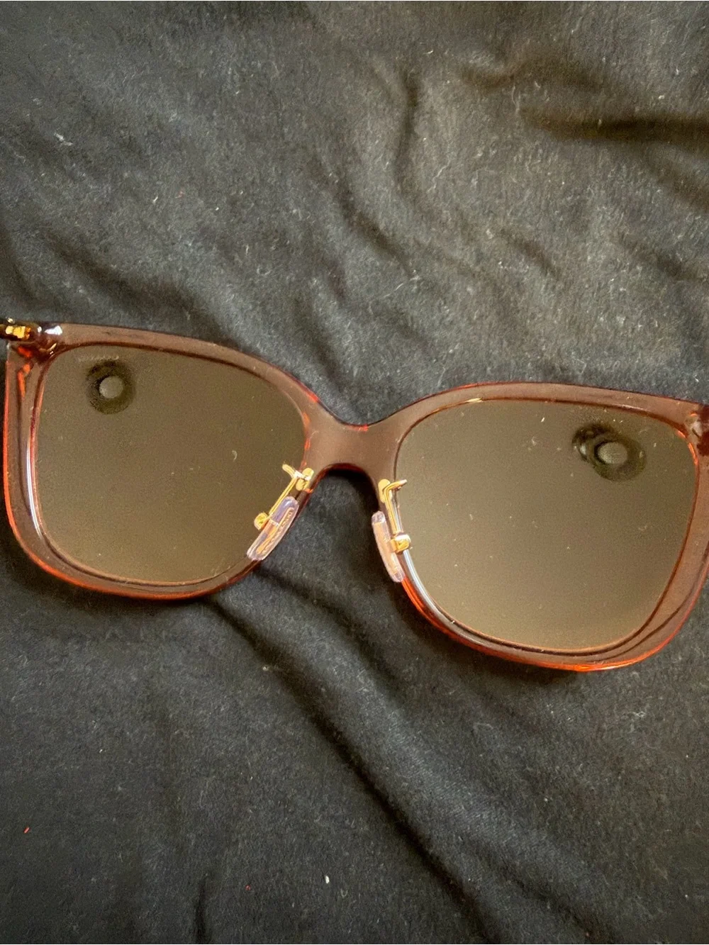 COACH Coach C9206 8345 Sunglasses Transparent Amber